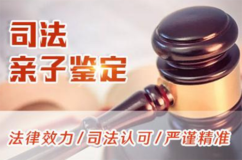 巴音郭楞司法DNA亲子鉴定怎么收费,