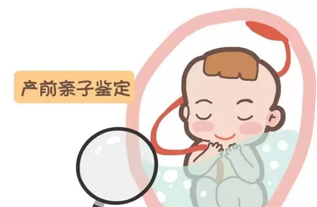 怀孕期间怎么鉴别是谁的孩子[巴音郭楞],巴音郭楞无创产前亲子鉴定大概收费