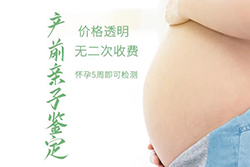 巴音郭楞胎儿怎么做亲子鉴定，巴音郭楞无创孕期亲子鉴定大概多少钱